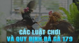 Nền tảng đá gà trực tuyến uy tín