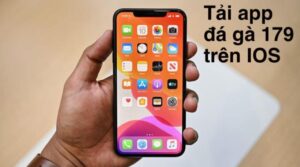 Tải app đá gà 179 trên thiết bị IOS siêu dễ